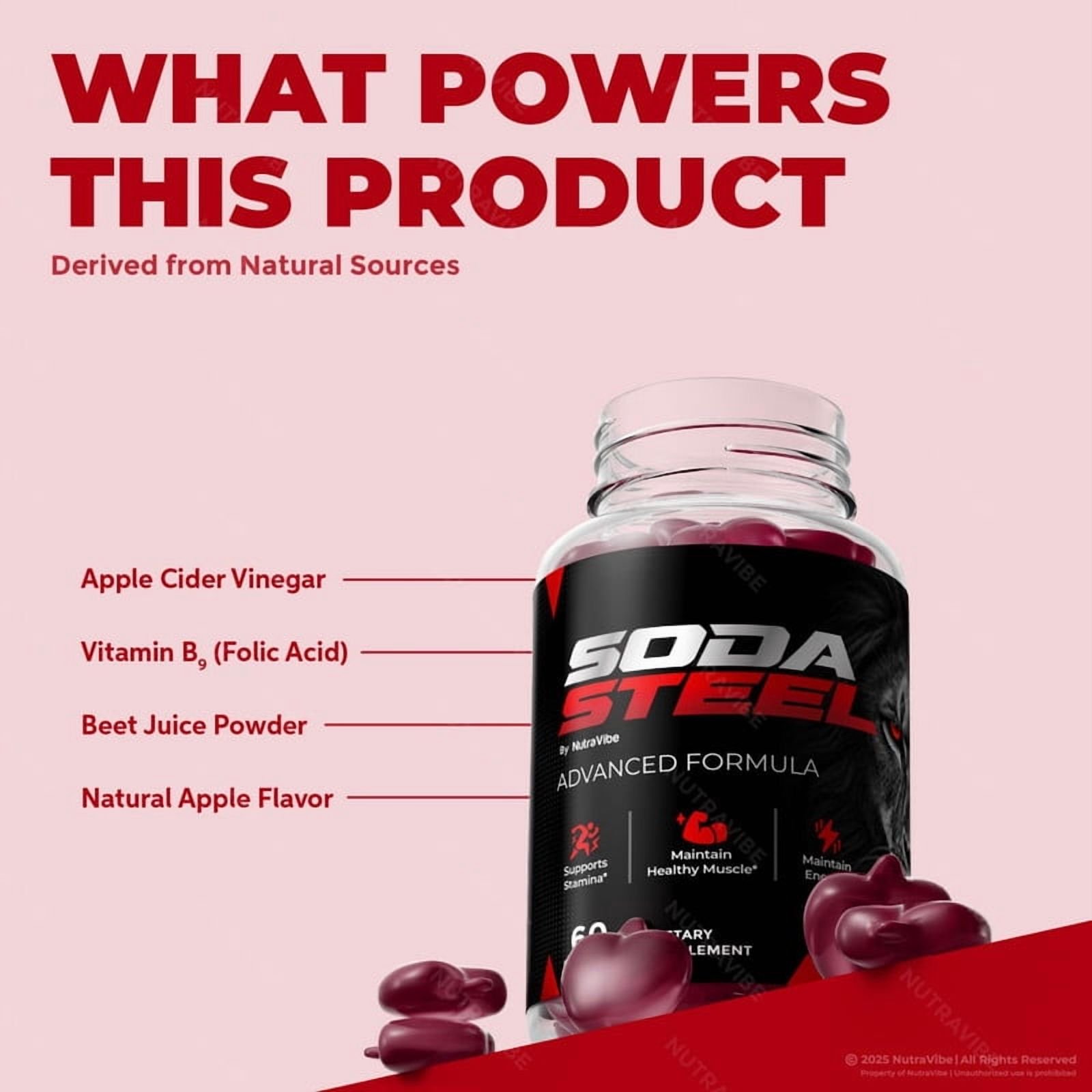 Soda Steel Gummies ingredient breakdown: Apple Cider Vinegar, Vitamin B9, Beet Juice Powder and natural apple flavor